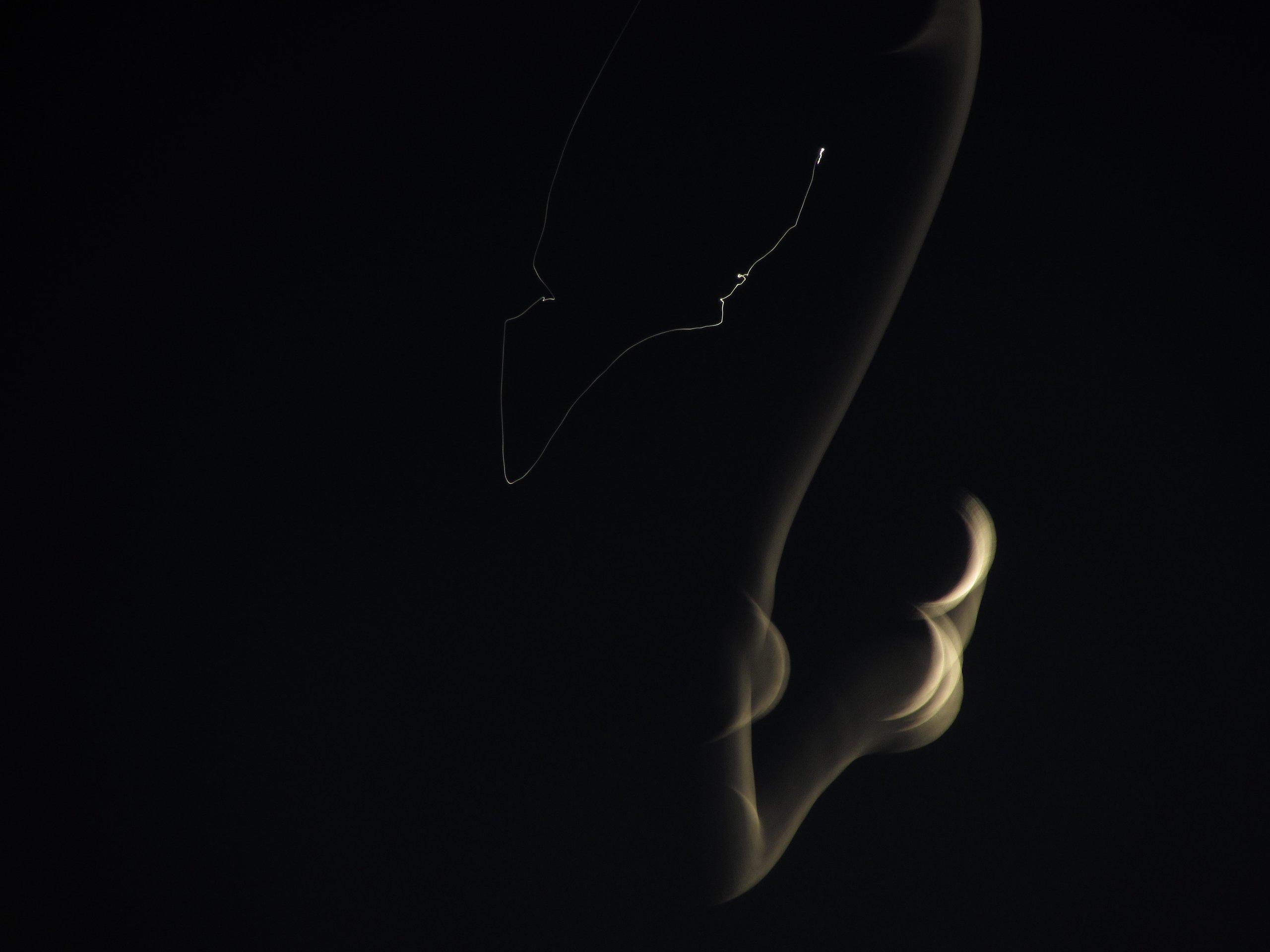 Luna y Venus 010